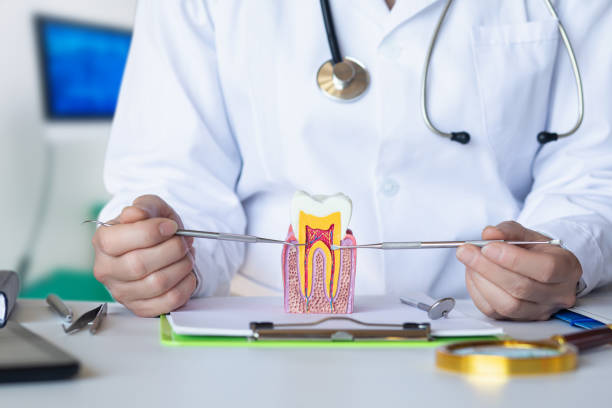 Best Emergency Dental Care for Sports Injuries in Ocilla, GA